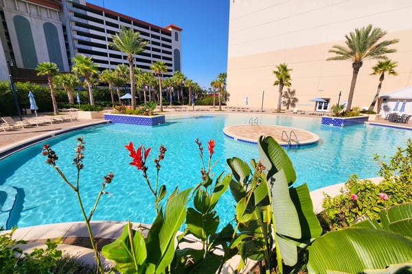 Resort pool complex with turquoise water, palm trees, tropical plants with red flowers, and multi-story hotel building under clear blue sky